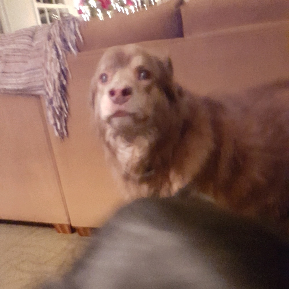 Meet your Posher, Marge